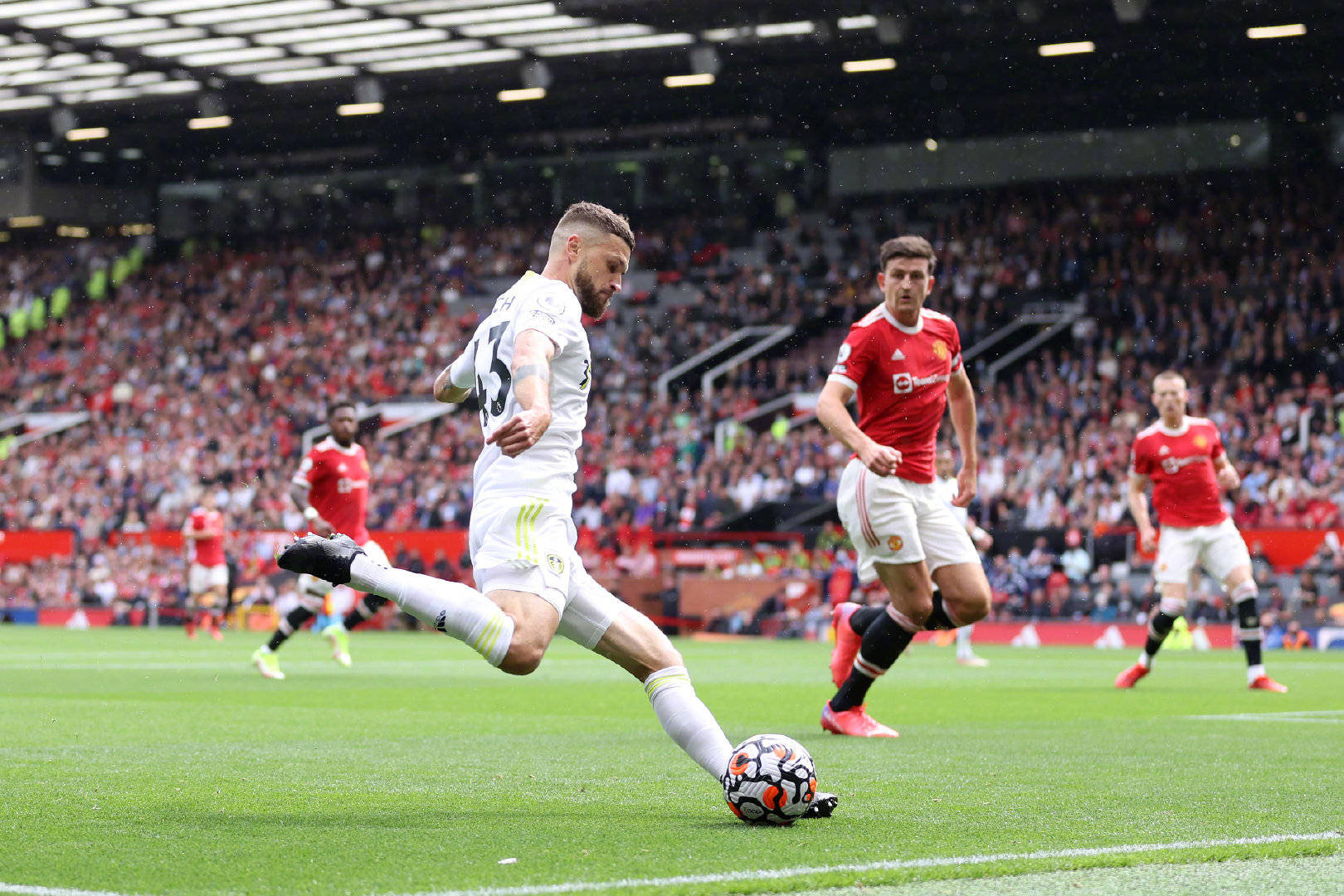 的帶領下 的帶領下